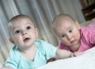 Amazed babies